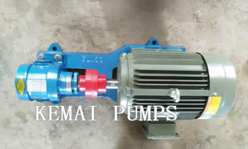 2cy gear pump