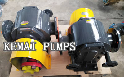 Asphalt Gear Pump