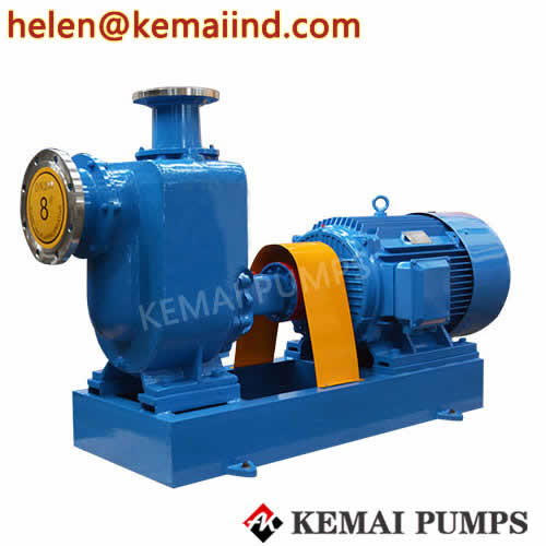 Self-Priming centrifugal Water Pump ZW Model Supplier