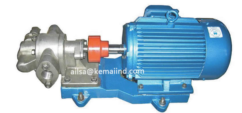 Stainless Steel Gear Pump For Peanut Oil