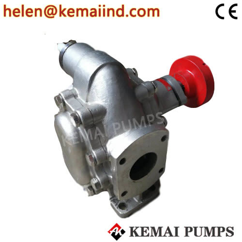 Stainless Steel Rotary Gear Pump SS304 SS316 SS316L Manufacturer