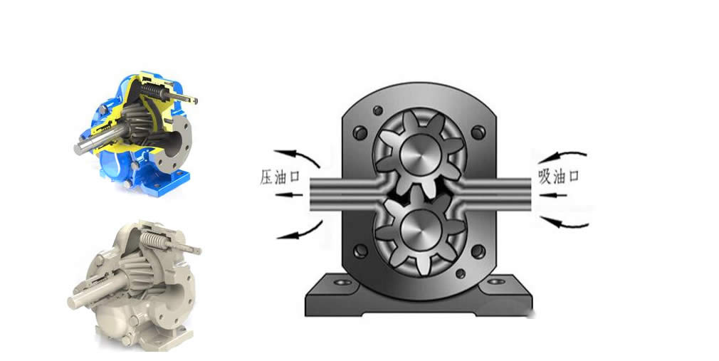 Stainless steel gear pump for olive oil