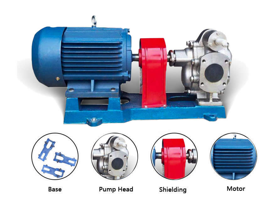 Stainless steel gear pump for vegetable oil