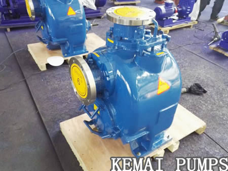 Stainless steel self priming pump