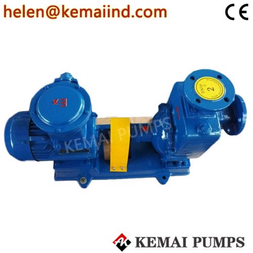 Transfer Pump Oil Diesel Gasoline