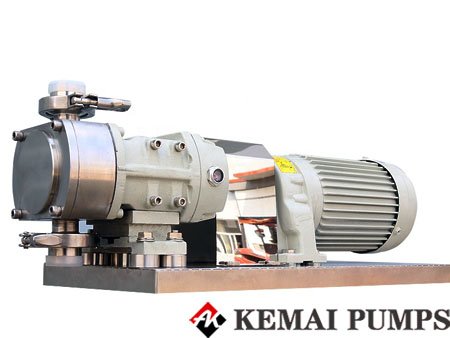 Vertical conveying stainless steel sanitary rotary cam pump