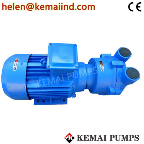 Water Ring Vacuum Pump 2BV Model Supplier