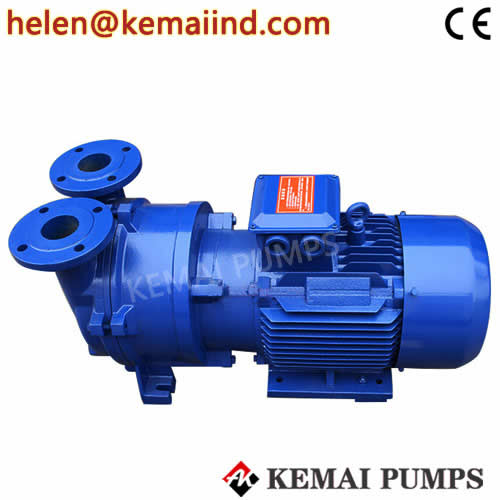 Water Ring Vacuum Pump 2BV Model