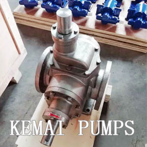 YCB stainless steel  gear pump