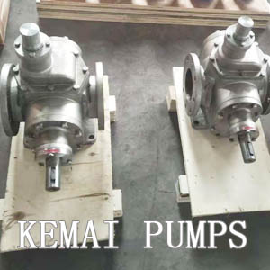 YCB stainless steel gear pump